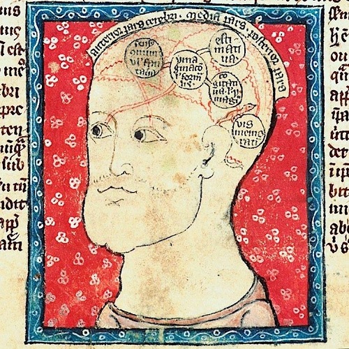 Středověký diagram ilustrující schopnosti lidské mysli podle aristotelské tradice. Z pojednání Qualiter caput hominis situatur, Cambridge University Library MS Gg.1.1, f. 490v.