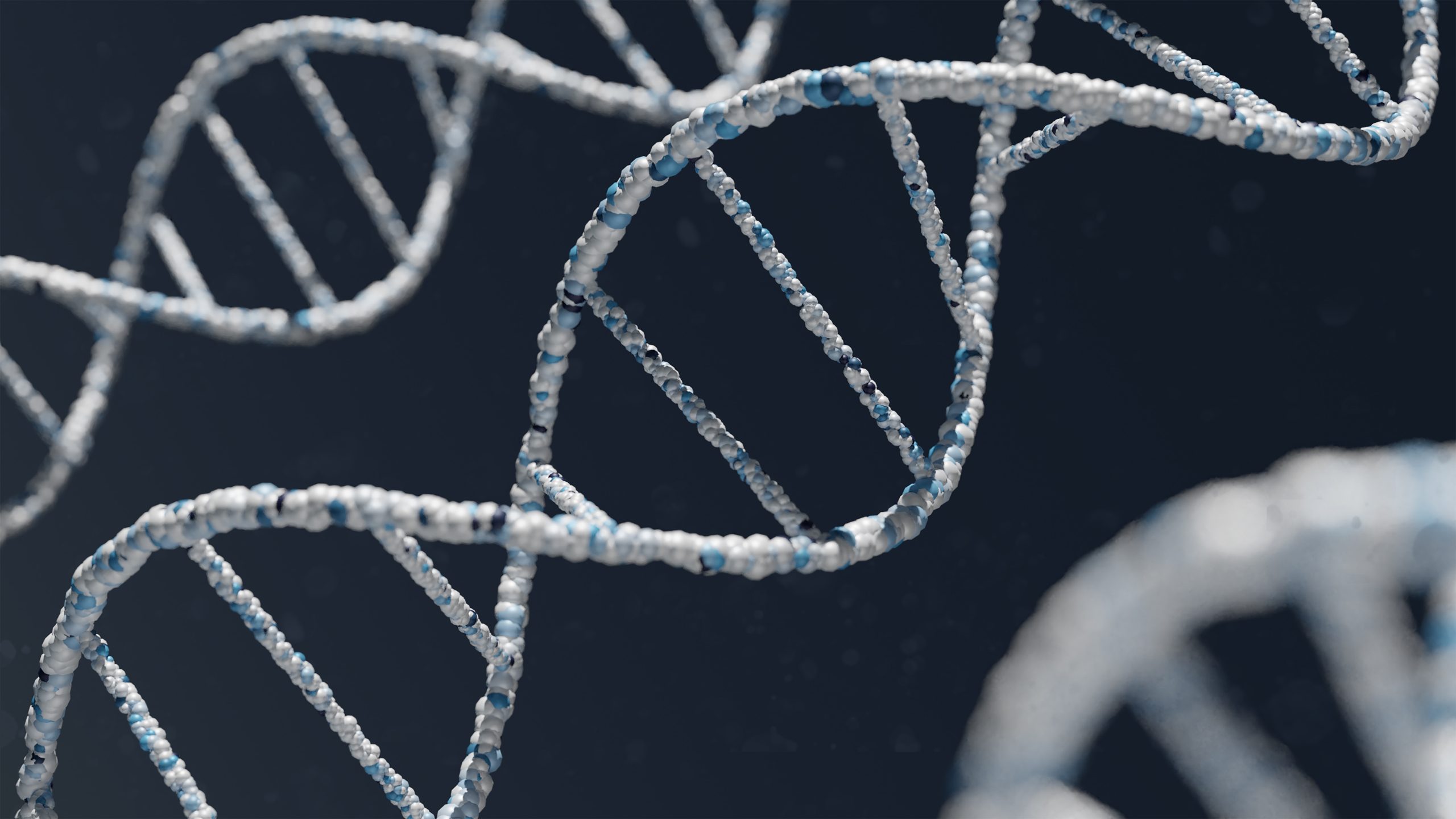 Zajímavé poznatky ze života „skákajících genů“