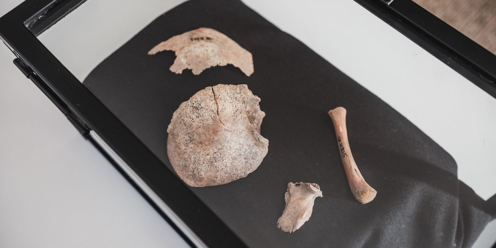 Nové analýzy DNA odhalují, jak Slované proměnili Evropu