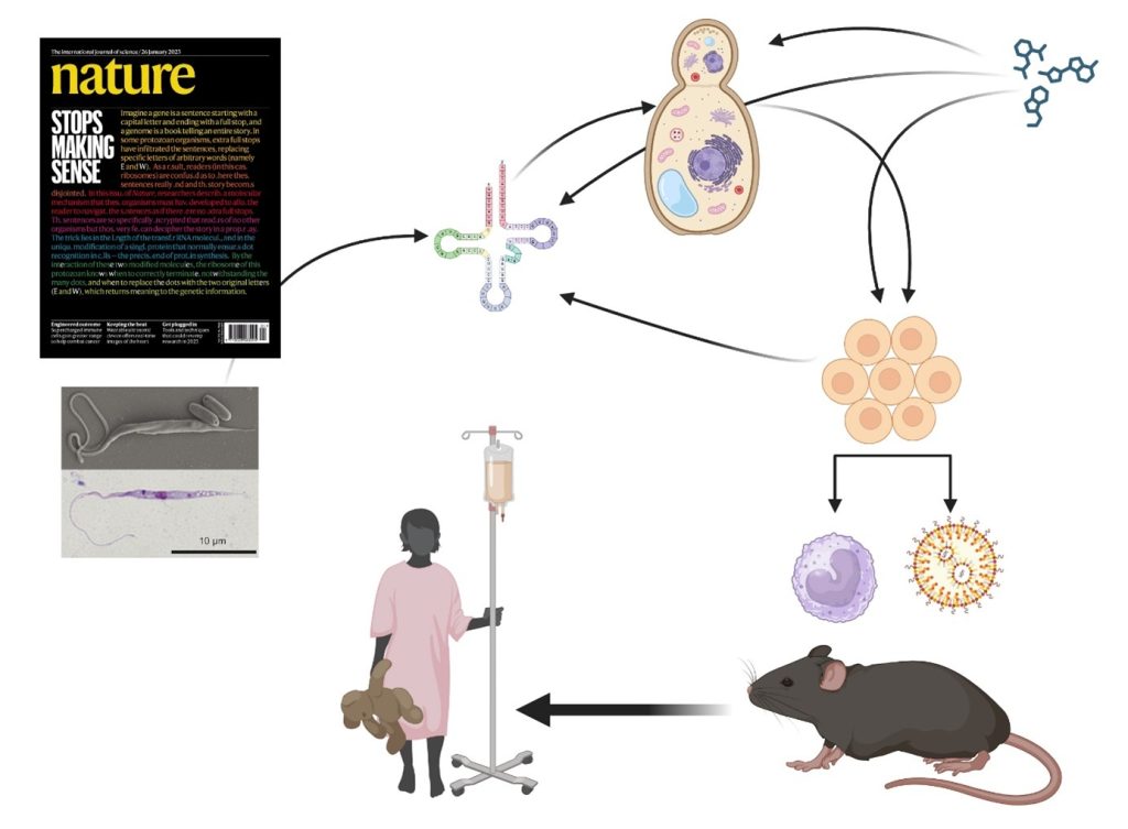 Od prvoků k pacientům – pracovní schéma projektu 3Stops2Go
