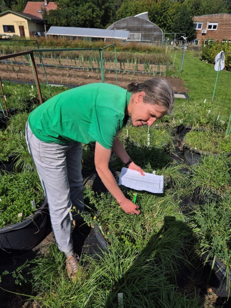 prof. RNDr. Zuzana Munzbergova Ph.D.