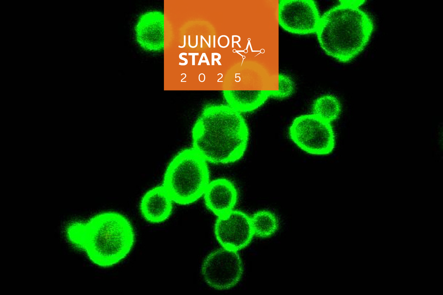 Nový pohled na koronaviry: Jak předejít pandemiím