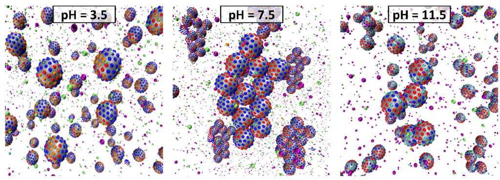 Koloidní nanočástice jako zjednodušený model pro interakce globulárních proteinů v roztocích při různém pH. Červené a modré tečky představují kyselé a bazické skupiny, jejichž náboj se mění v závislosti na pH. Změna náboje ovlivňuje tendenci částic k agregaci, která vede k jejich vysrážení z roztoku. Nepublikováno, Autor: Dr. Sebastian Pineda Pineda Ke druhému obrázku patří ještě video, které je k dispozici na youtube, ale můžu jej také dodat jako samostatný soubor. https://www.youtube.com/watch?v=t2a92m32-fs 